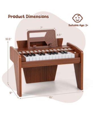 25 Keys Digital Piano with Music Stand,Teaching Mode,Lighted Keys, Adjustable Speed