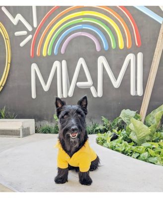 Parisian Pet Polo Yellow