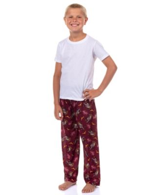 Big Boys Pajamas House Crest Logo Lounge Sleep Pajama Pants - Gryffindor Hufflepuff Ravenclaw Slytherin