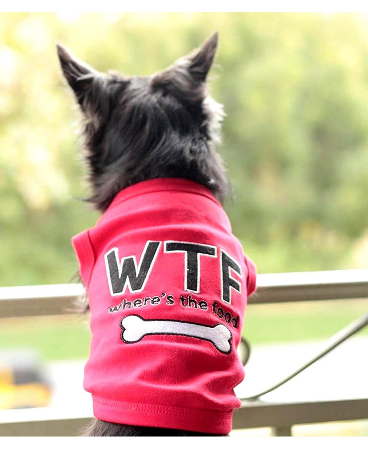 Parisian Pet Where's The Food dog shirt