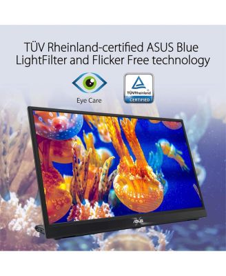 Tek MB17AHG 17.3 in. IPS Panel FHD 1920 x 1080 16-9 Scale 5 ms 144HZ 2XUSB-C HDMI Portable Monitor, Black