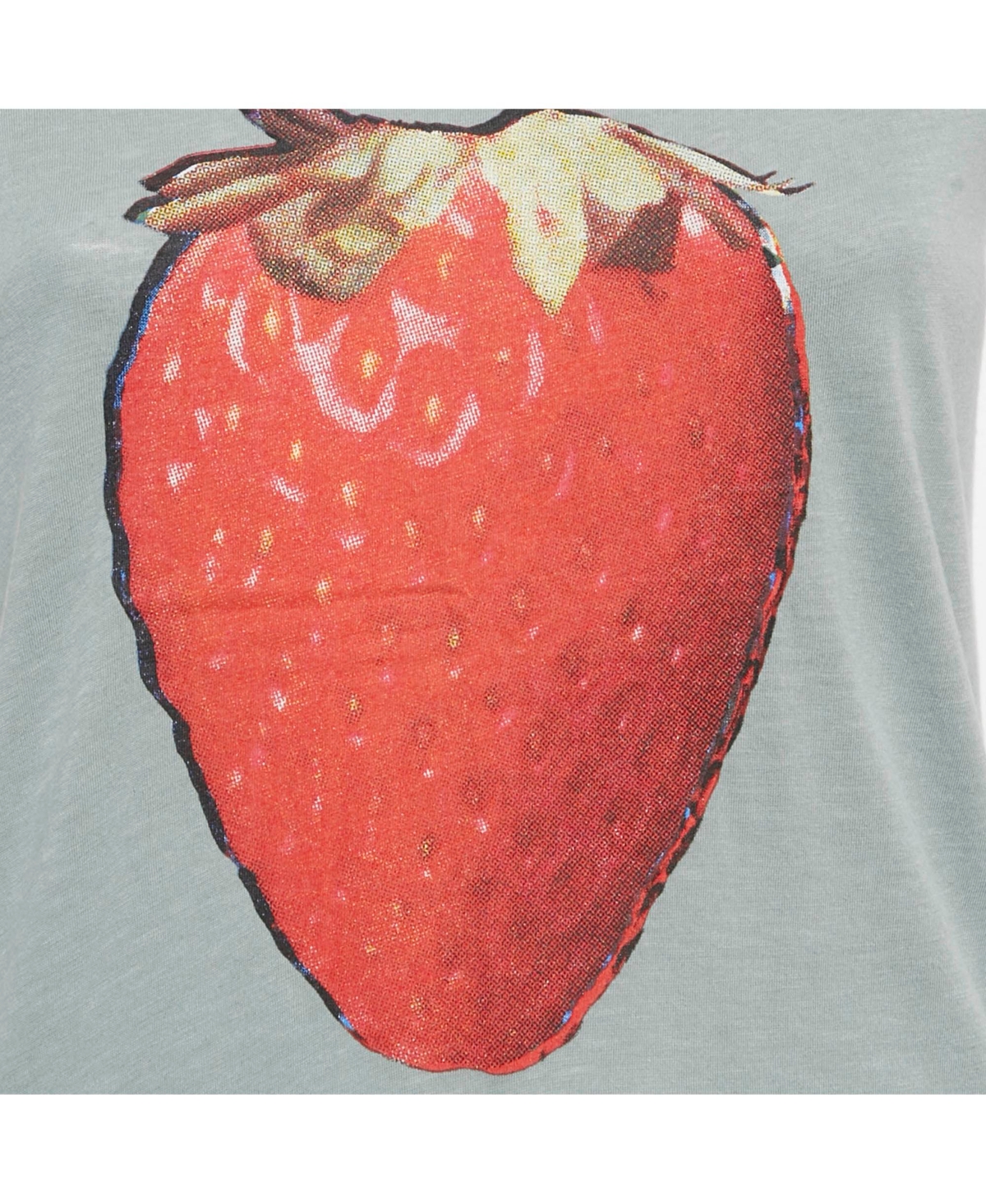 Pre-Owned Zadig & Voltaire Women's Green Strawberry Print Cotton Blend Distressed T-Shirt