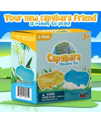 Capybara Squishy Toy 2 Pack - Yellow / Blue