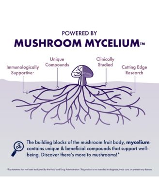 Lion's Mane Capsules, 240 ct (Pack of Two 120 ct Units)