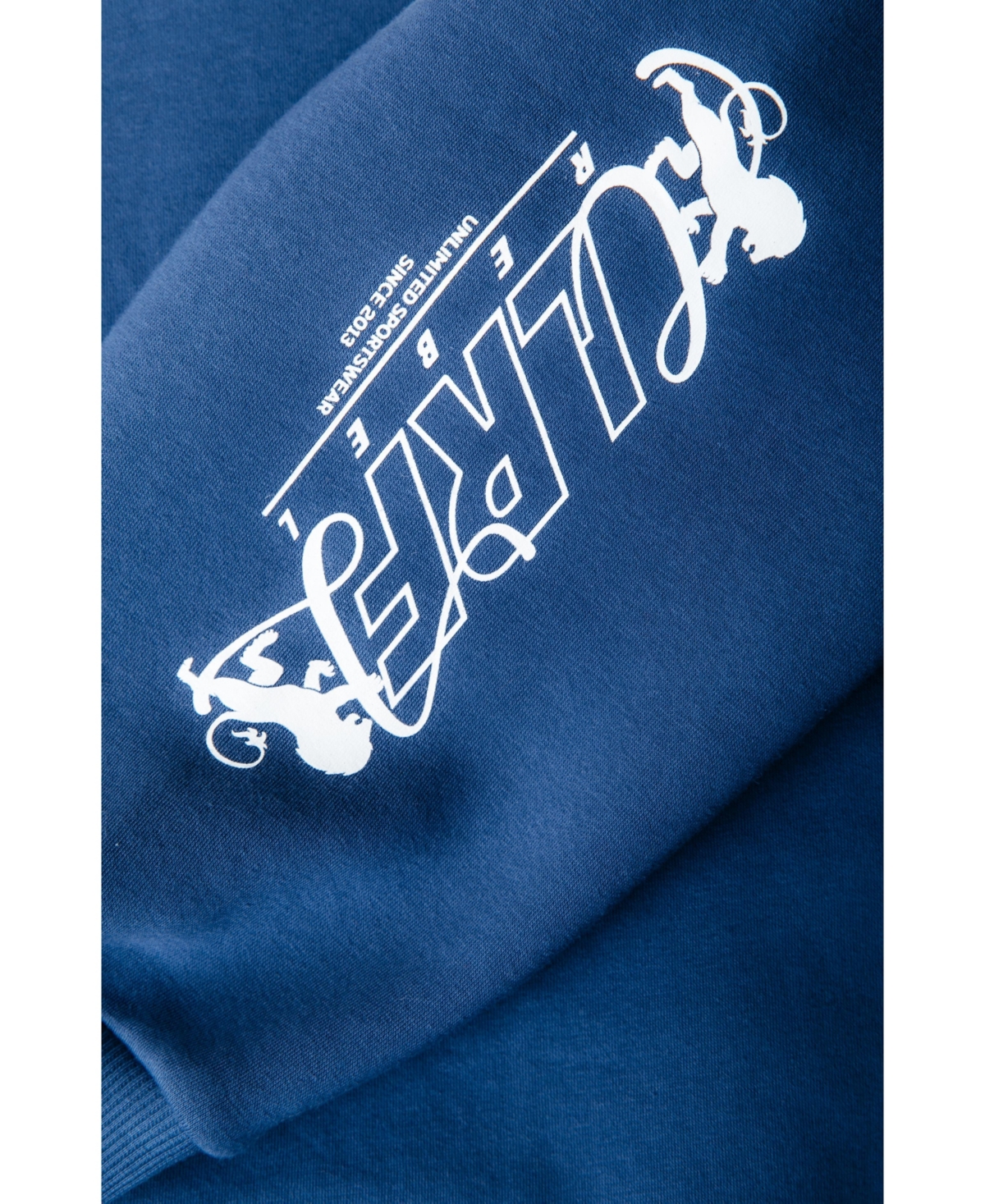 Colourful Rebel Women's Logos Dropped Shoulder Sweat