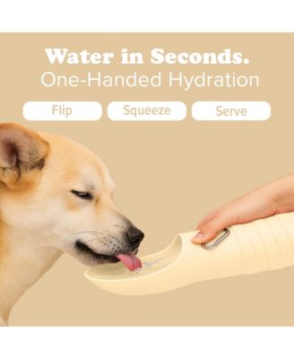 Collapsible Dog Water Bottle