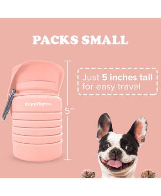 Collapsible Dog Water Bottle