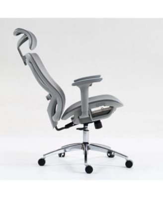 Ergonomic Mesh Office Chair with Adjustable Lumbar Support