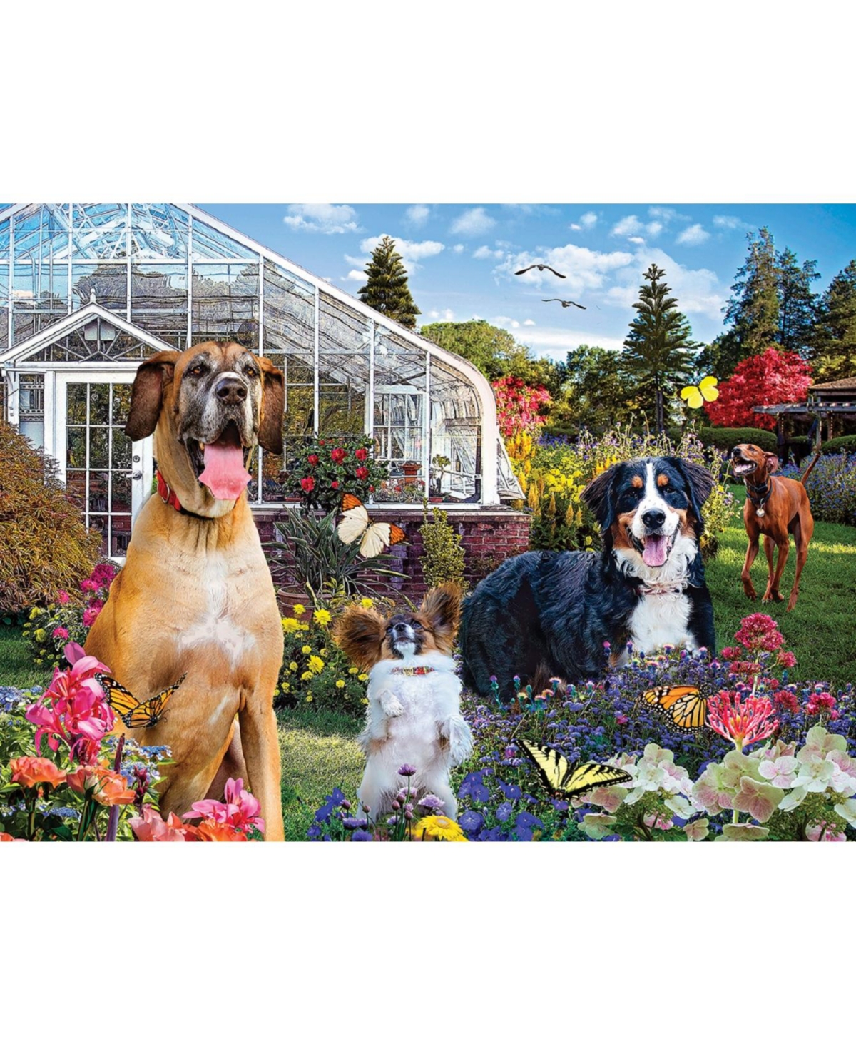 SunsOut Conservatory Garden Canines 1000 piece Jigsaw Puzzle for Adults