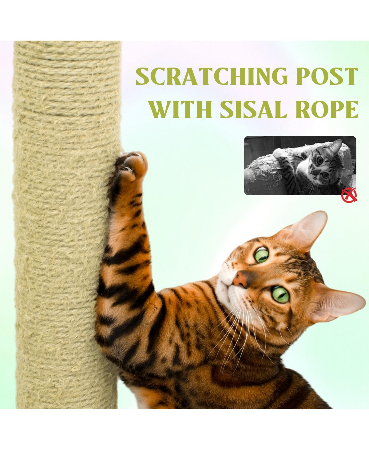 Zeus & Ruta 71 Flower Cat Tree Large Condo Removable Cushion Hammock