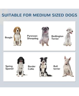 Dog Feeding Station w/ Raised Dog Bowls, Adjustable Panel