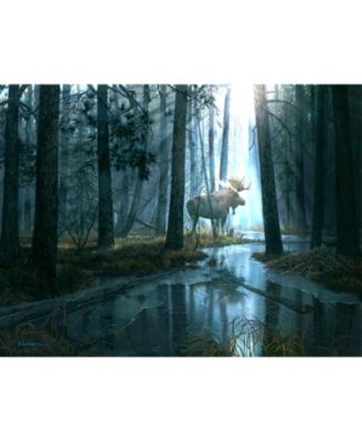 Caught by Light 300 piece Jigsaw Puzzle for Adults