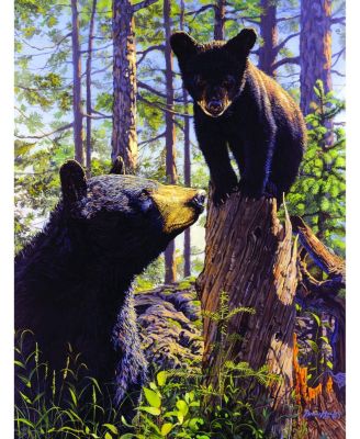 Stump Jumper 500 piece Jigsaw Puzzle for Adults