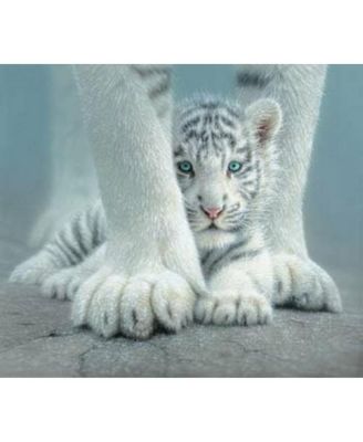 Sheltered 550 piece Jigsaw Puzzle for Adults