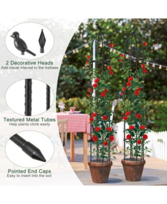 2-Pack Garden Obelisk Trellis for Climbing Plants Rustproof PE-Coated Metal Flower Trellis