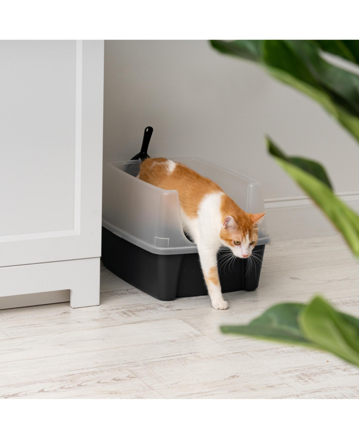 Iris Usa 2 Pack Large Cat Litter Boxes with Scatter Shield and Scoop, Open Top High Sided Cat Litter Pan, Black