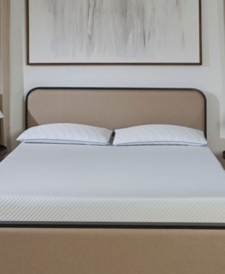 Foam Density Pillow in Soft/Medium, Standard