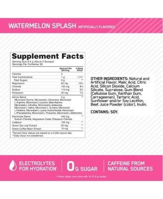 Essential Amino Energy Hydration Plus Focus Powder - Watermelon Splash Flavor, 9.5 oz