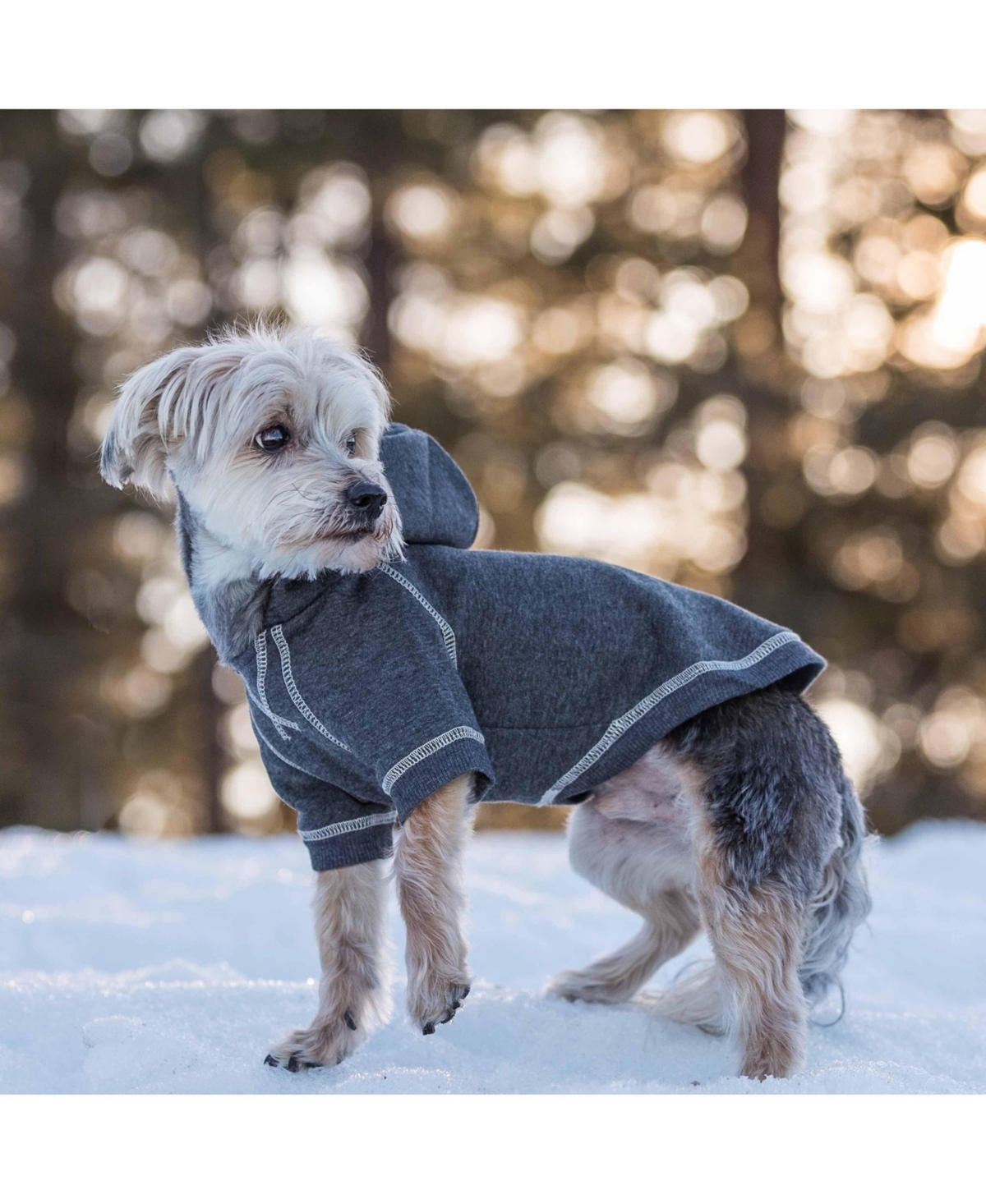 Blueberry Pet Better Basics Matching Hoodies for Dog & Owner Set