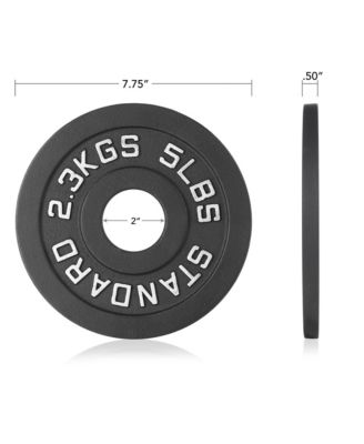 Set of 2 Standard Cast Iron Olympic 2-inch Weight Plates (5 LB each)
