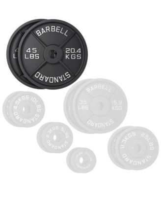 Set of 2 Standard Cast Iron Olympic 2-inch Weight Plates (45 LB each)