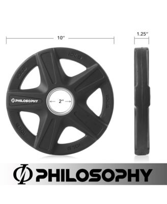 Set of 2 Rubber Coated 2-inch Olympic Grip Weight Plates (10 LB each) for Weightlifting