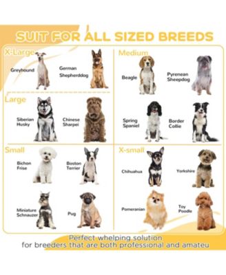 81" Extra Large Whelping Box - Two-Room Design for Dogs in Brown