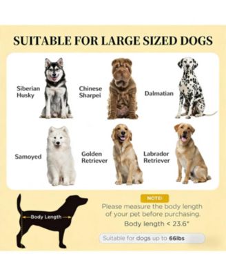 Elevated Portable Dog Cot with Pad and legs in Dark Blue