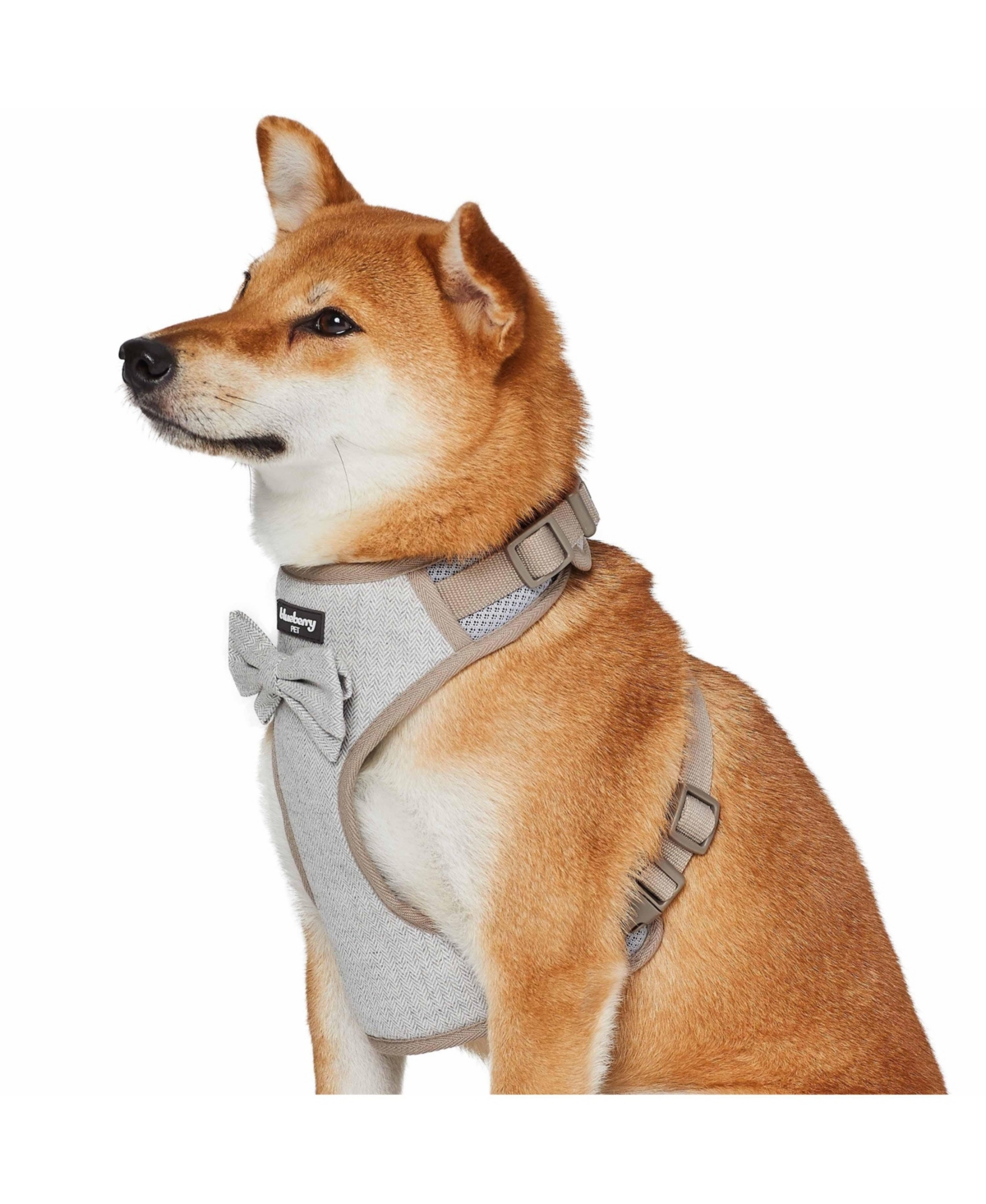 Blueberry Pet Textured Tweed Dog Harness Vest