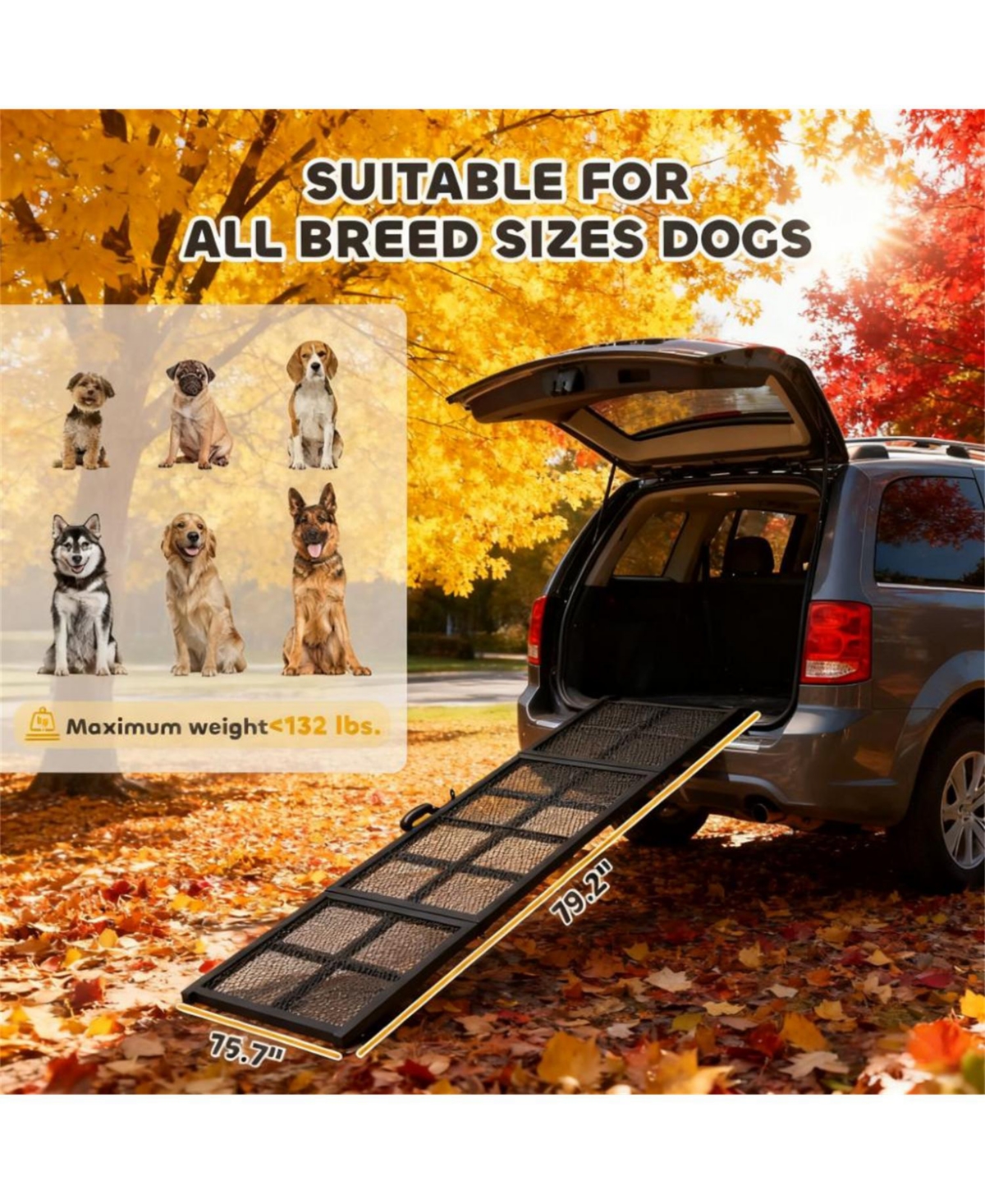 Aostirmotor Folding Portable Dog Ramp Extra Long and Wide Dog Car Ramp in Black