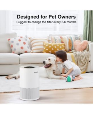 ZACHVO Air Purifiers for rooms to 1200ft²,with Fragrance Sponge, Timer, Air Filter Cleaner for Smoke, Odor, Dander