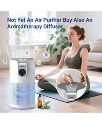 Air Purifiers for Room Up to 1500ft² with Aromatherapy, for Bedroom Pets Kitchen, Air Filter Cleaner for Wildfire Smoke