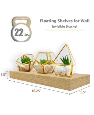5 Pack 16 Inch Long Floating Wall Shelves for Bedroom, Decor, Kitchen, Living Room - for Trophies, Frames, Bookshelf