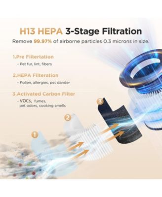 Home All-in-One Air Purifier for rooms up to 1,200 ft² for bedrooms with pets Includes timer,scented sponge and air filter