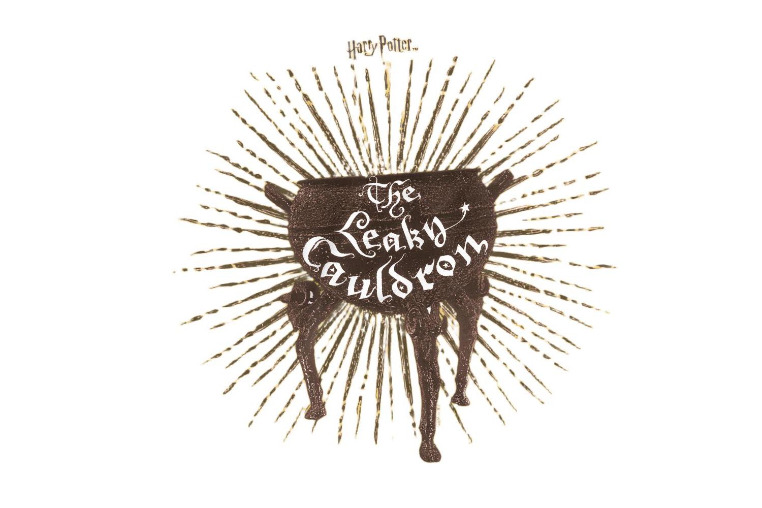 Men's The Leaky Cauldron T Shirt