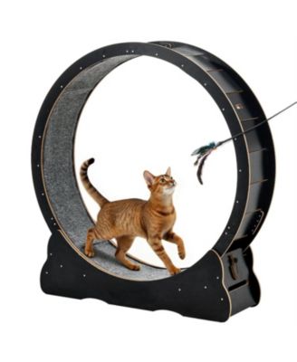 48 in Wooden Cat Running Wheel with Carpeted Runway