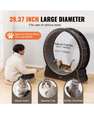 43.3 in Wooden Cat Running Wheel with Runway in Black