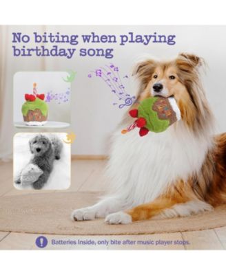 Matcha Strawberry Birthday Cake Dog Toy,  Plush Toy with Removable Birthday Song Player,  Interactive Dog Toy, Perfect Birthday Gift for Dogs