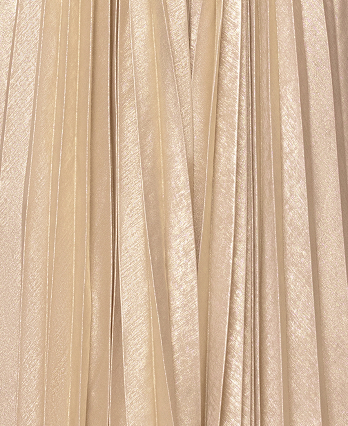 Xscape Women's Pleated Halter Neck Ball Gown