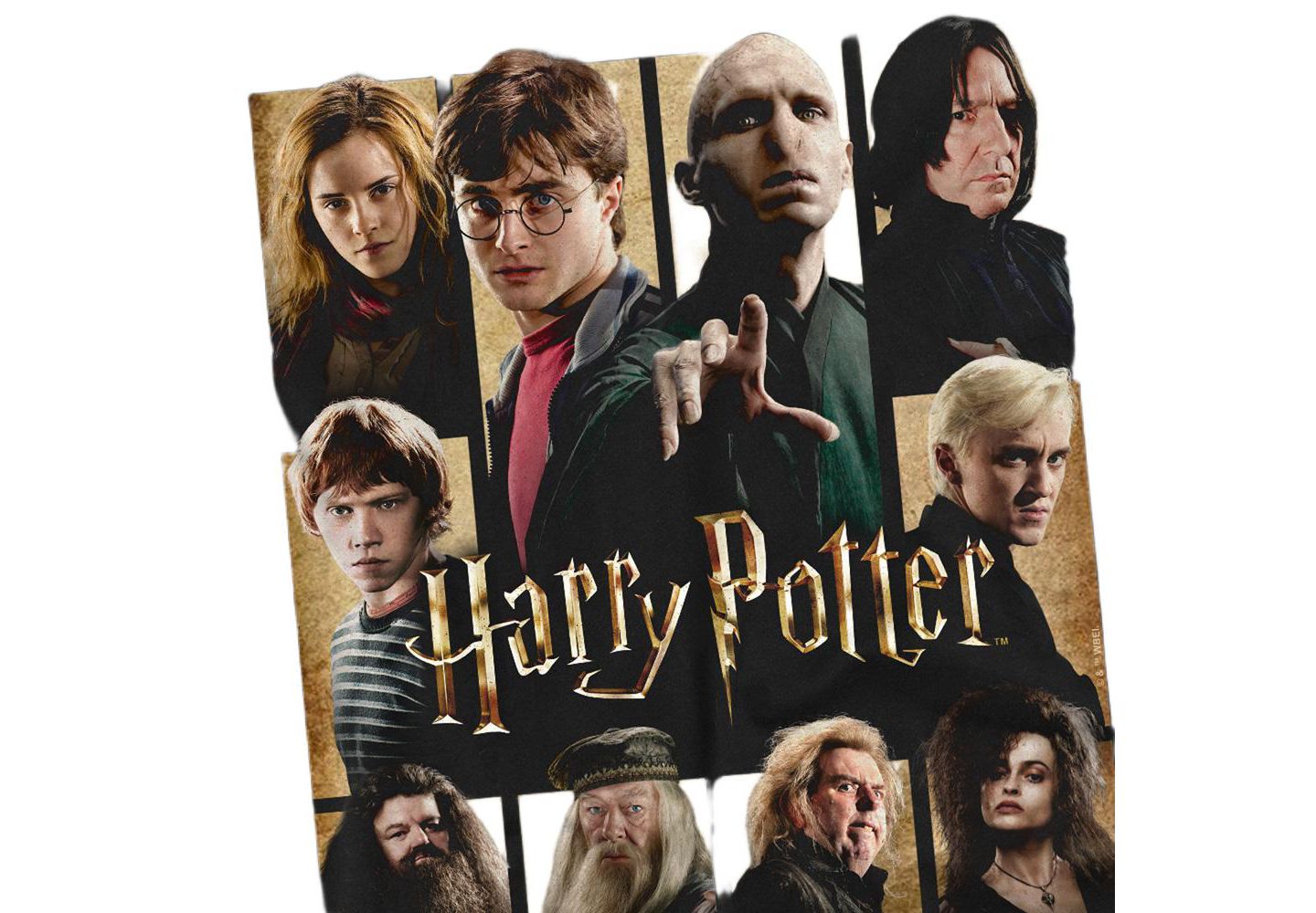 Мужская футболка Harry Potter Heroes Villains Squares, цвет: Чёрный — фото 2