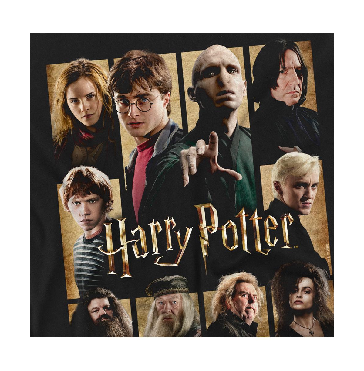 Harry Potter Men's Heroes Villains Squares T Shirt