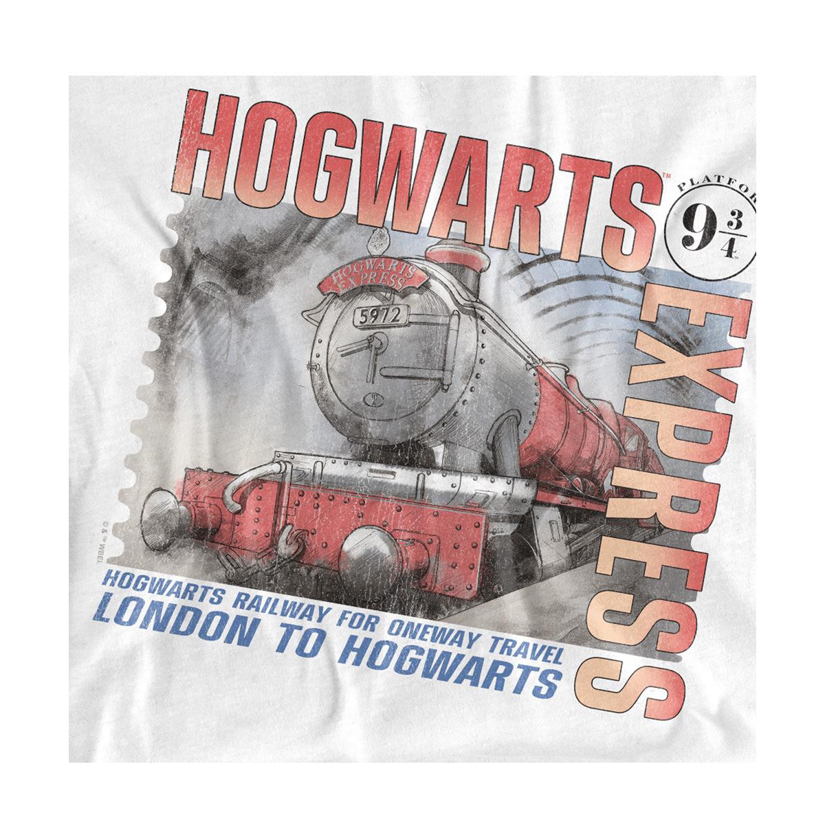 Harry Potter Men's Hogwarts Express Poster T Shirt