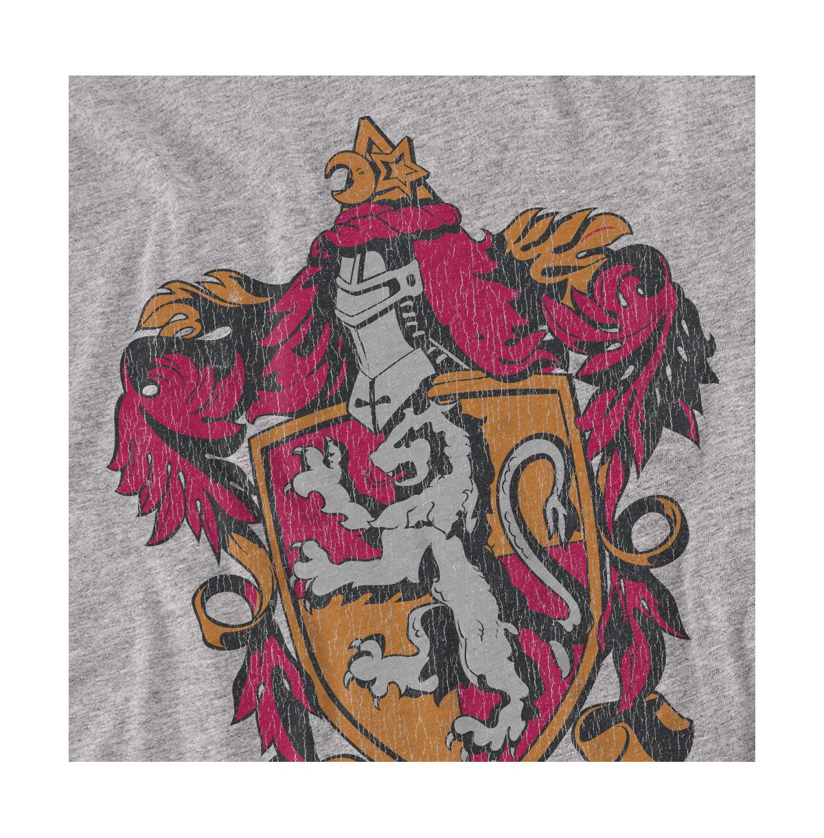 Harry Potter Big & Tall Gryffindor T Shirt
