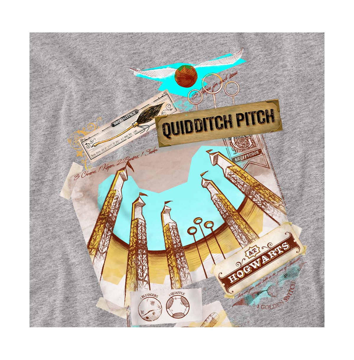 Harry Potter Men's Quidditch Pitch At Hogwarts T Shirt