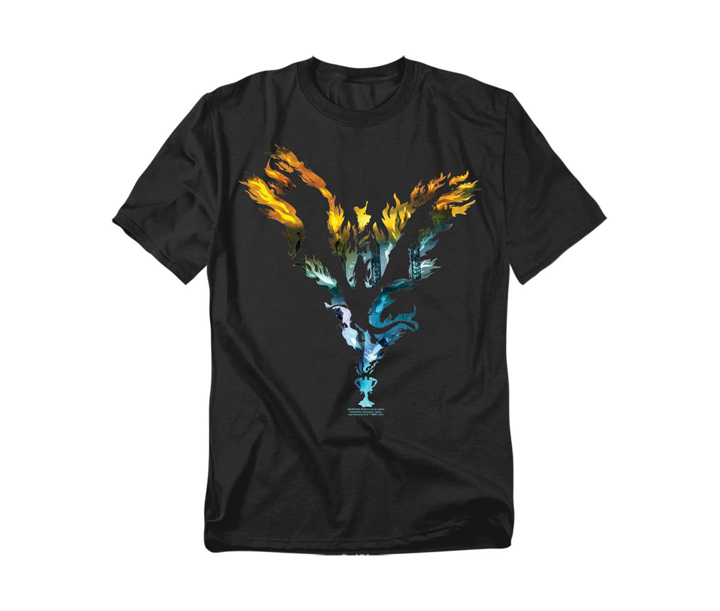Мужская футболка Harry Potter Big & Tall Goblet of Fire Dragon Flames Graphic, цвет: Чёрный — фото 1