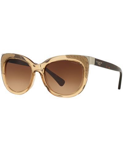 Coach Sunglasses, HC8171