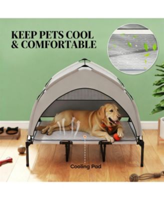 Elevated Portable Dog Cot for Outdoor