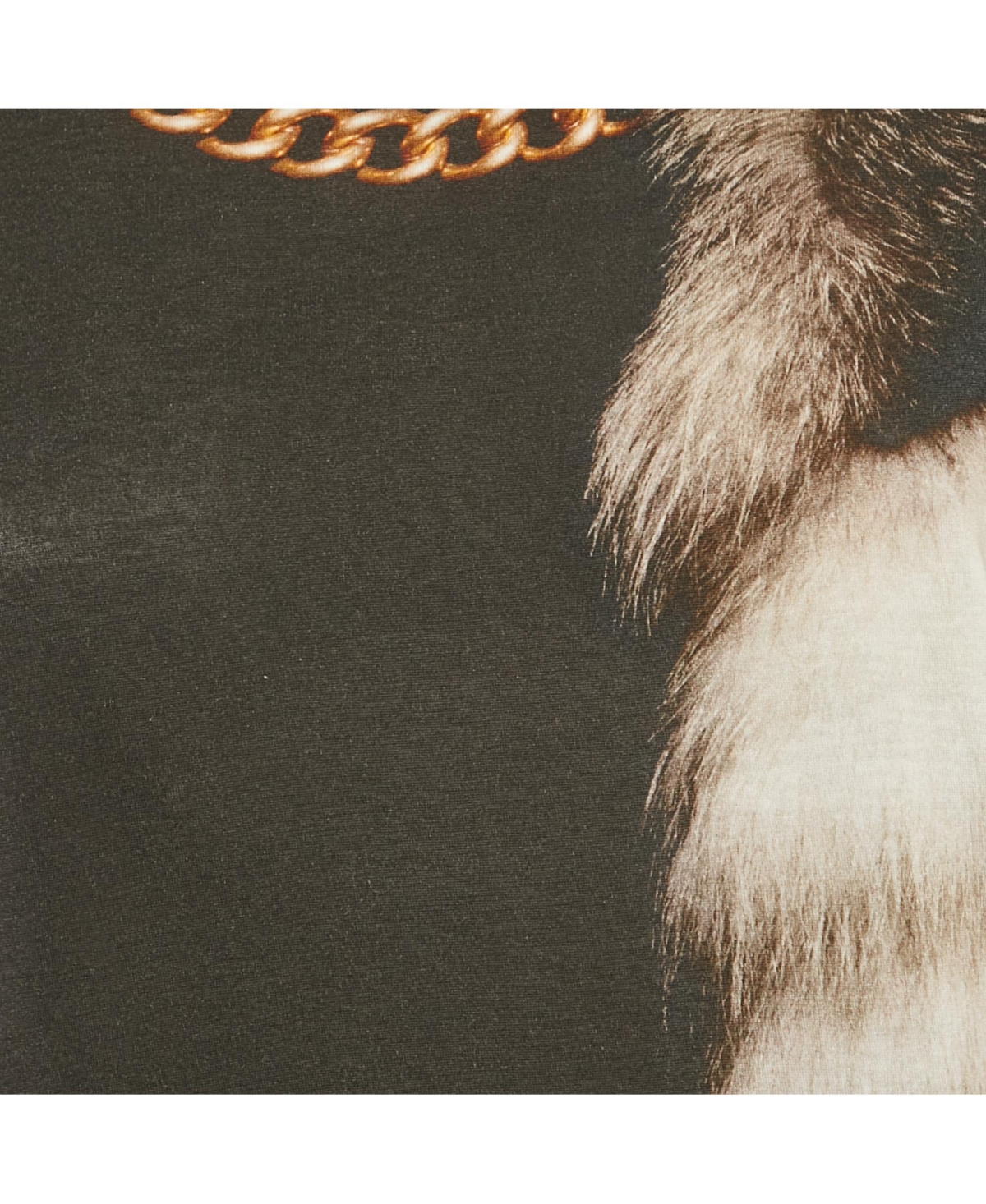 Pre-Owned Alexander Mcqueen Women's Black Fox & Chain Printed Jersey T-Shirt