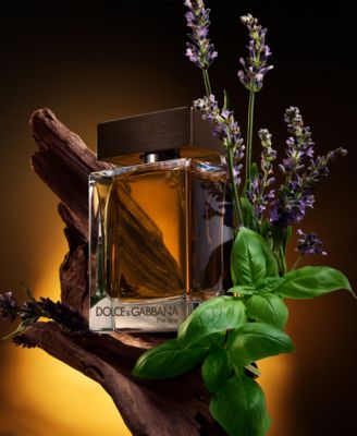 Men's The One Eau de Toilette Spray, 5.0 oz.