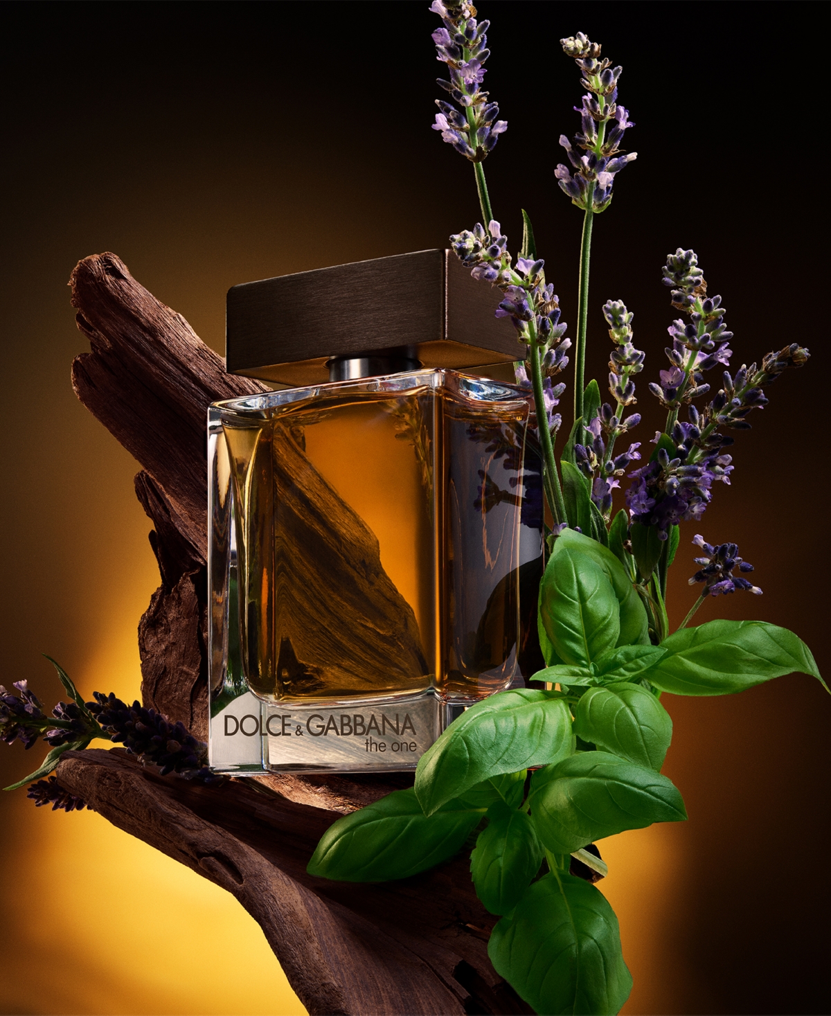 Dolce&Gabbana Men's The One Eau de Toilette Spray, 5.0 oz.